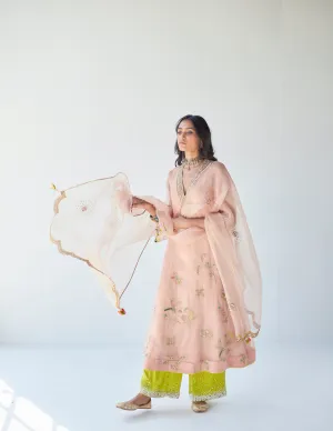 Pastel Pink Jaal Organza Kurta Set