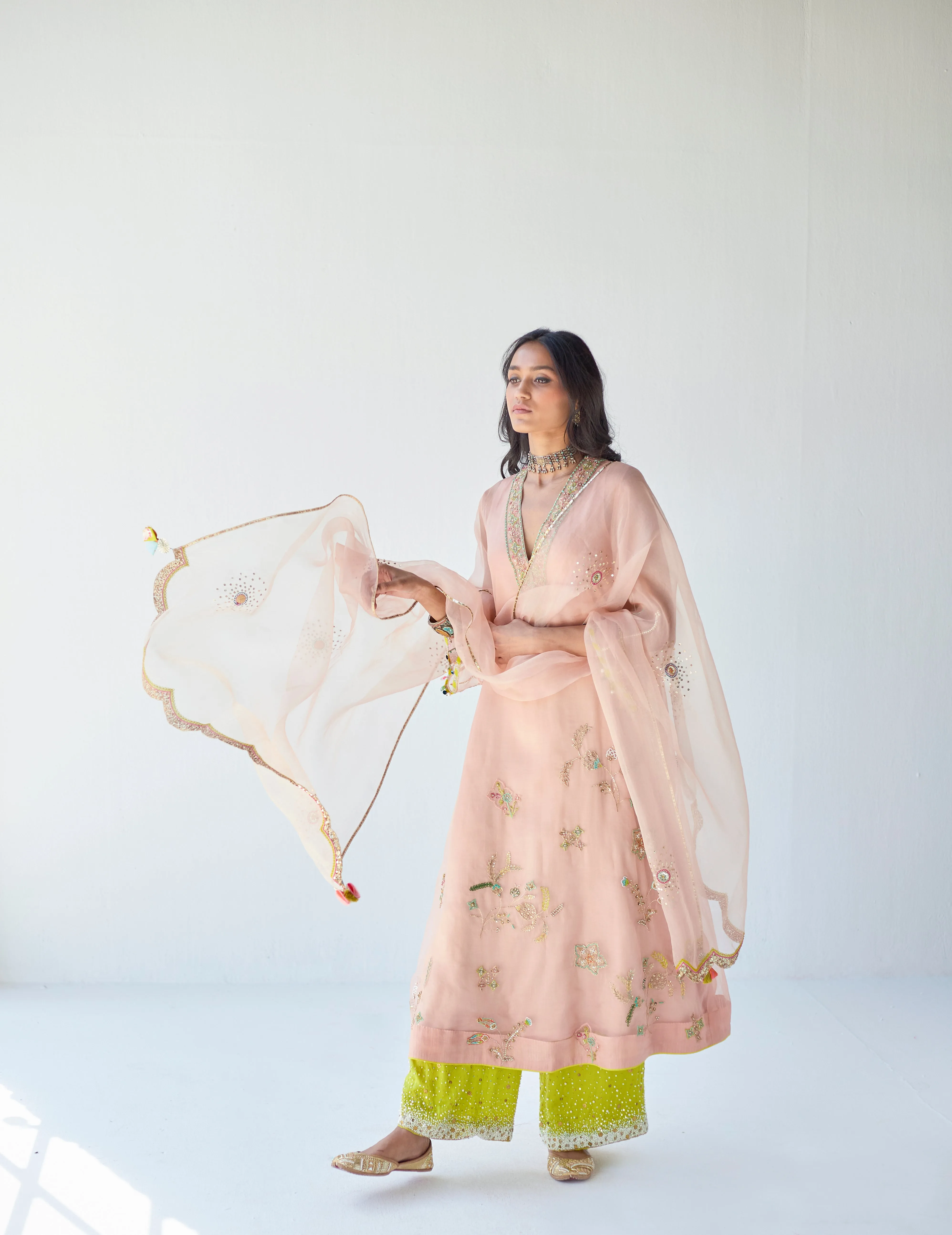 Pastel Pink Jaal Organza Kurta Set